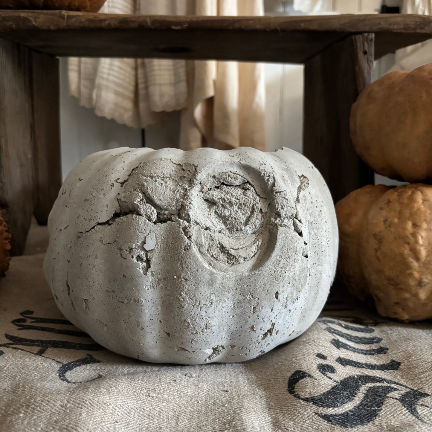 Handmade Concrete Pumpkin (hat sold separately)