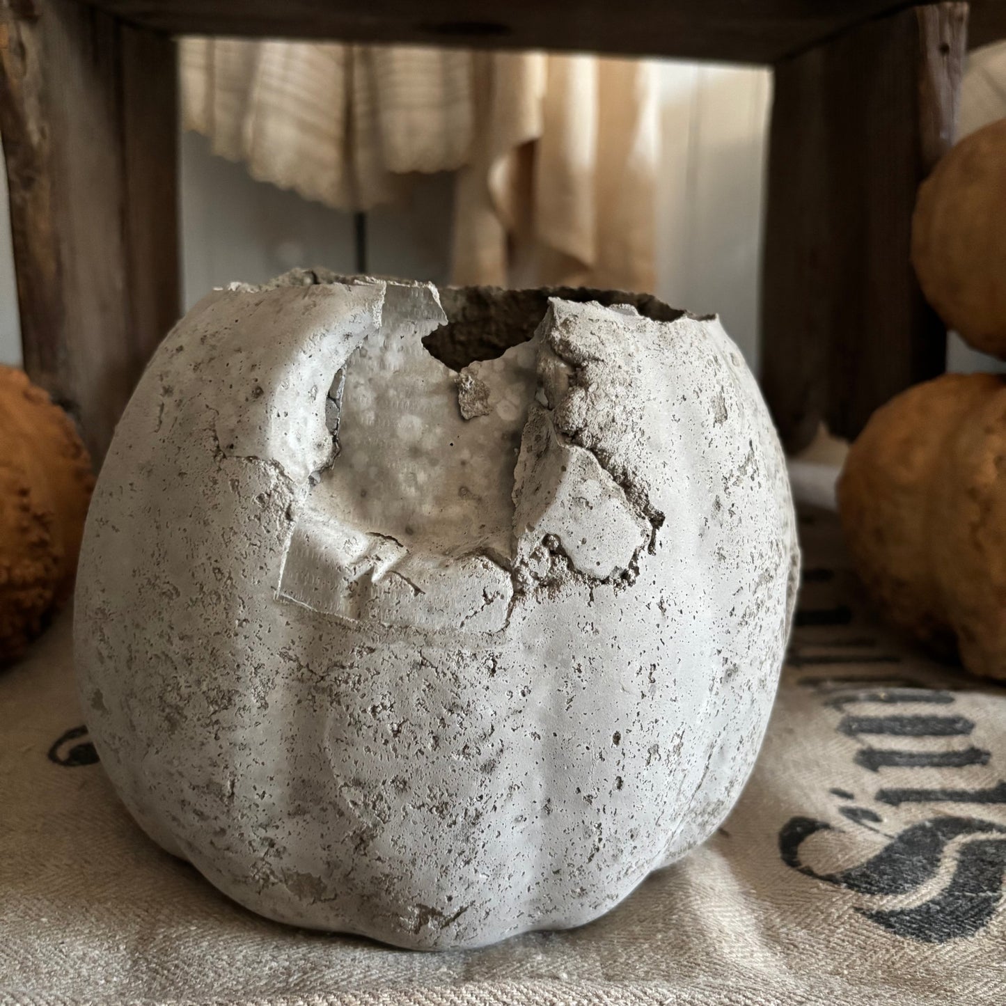 Handmade Concrete Pumpkin (hat sold separately)