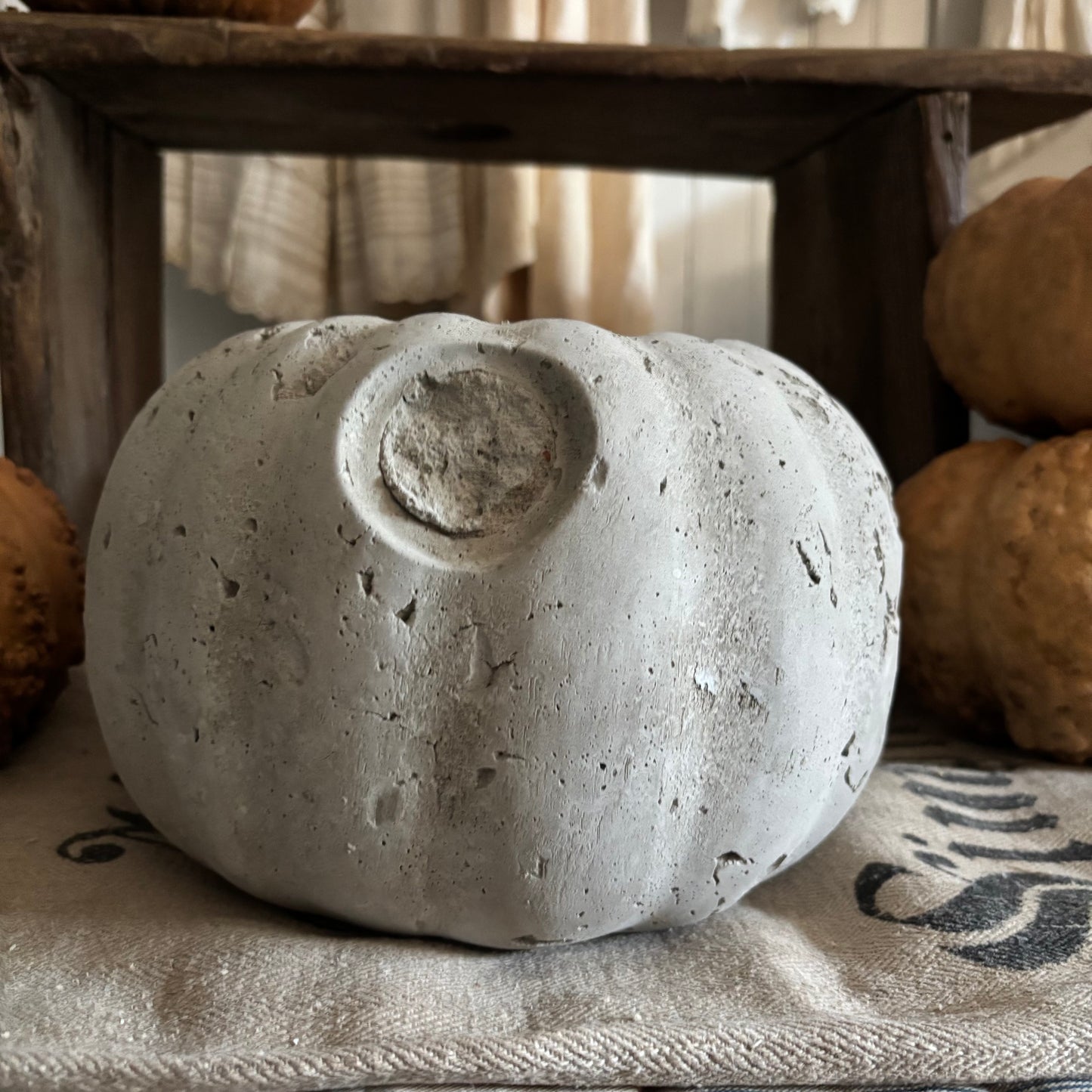 Handmade Concrete Pumpkin (hat sold separately)